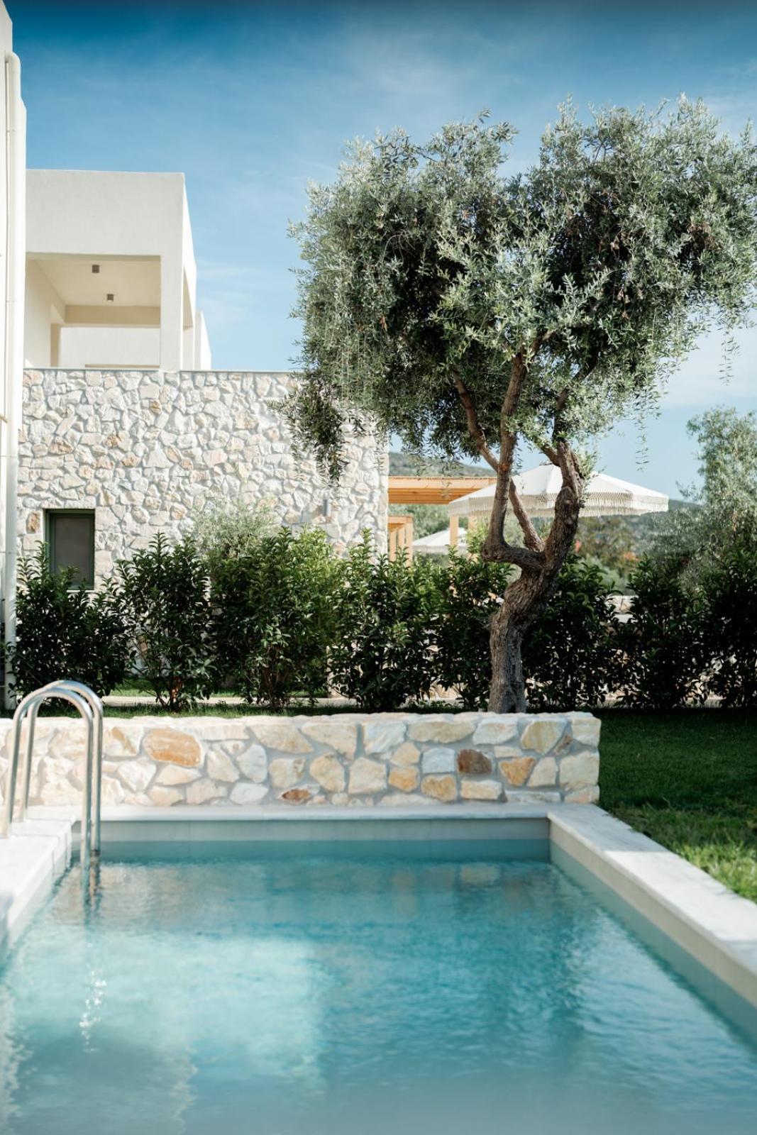Magnolia Villas Potos Thassos מראה חיצוני תמונה
