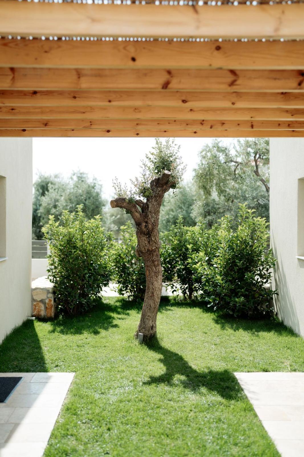 Magnolia Villas Potos Thassos מראה חיצוני תמונה